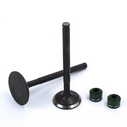 Válvulas YX 150/160cc (1P60)