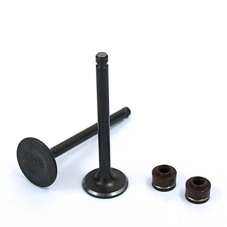 Valve Set LIFAN - 70/90cc (1P47)