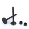 Valve Set LIFAN - 70/90cc (1P47)