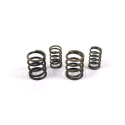 Valve springs YX 140/150cc (1P56)