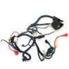 Wiring Loom - GN Motor E-starter