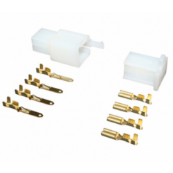 Ficha 4 Pinos - MACHO/FÊMEA