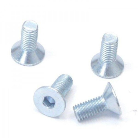 Parafusos Disco Travão - ø8mm (x4)